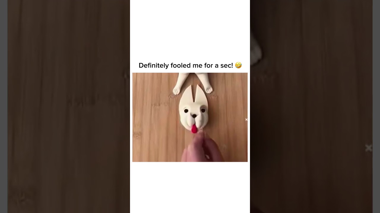 Definitely fooled me for a sec! 🤣 follow for more #shorts