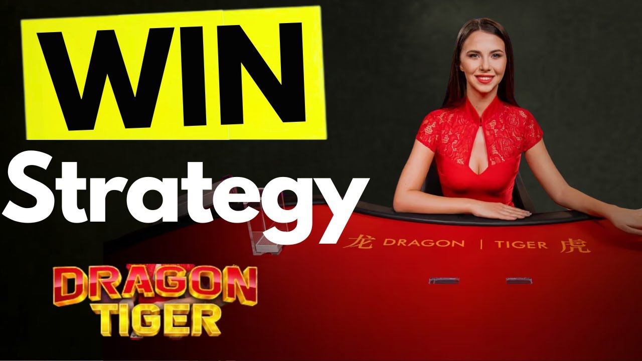 Как играть в Dragon Tiger Live с вероятностью выигрыша 77%