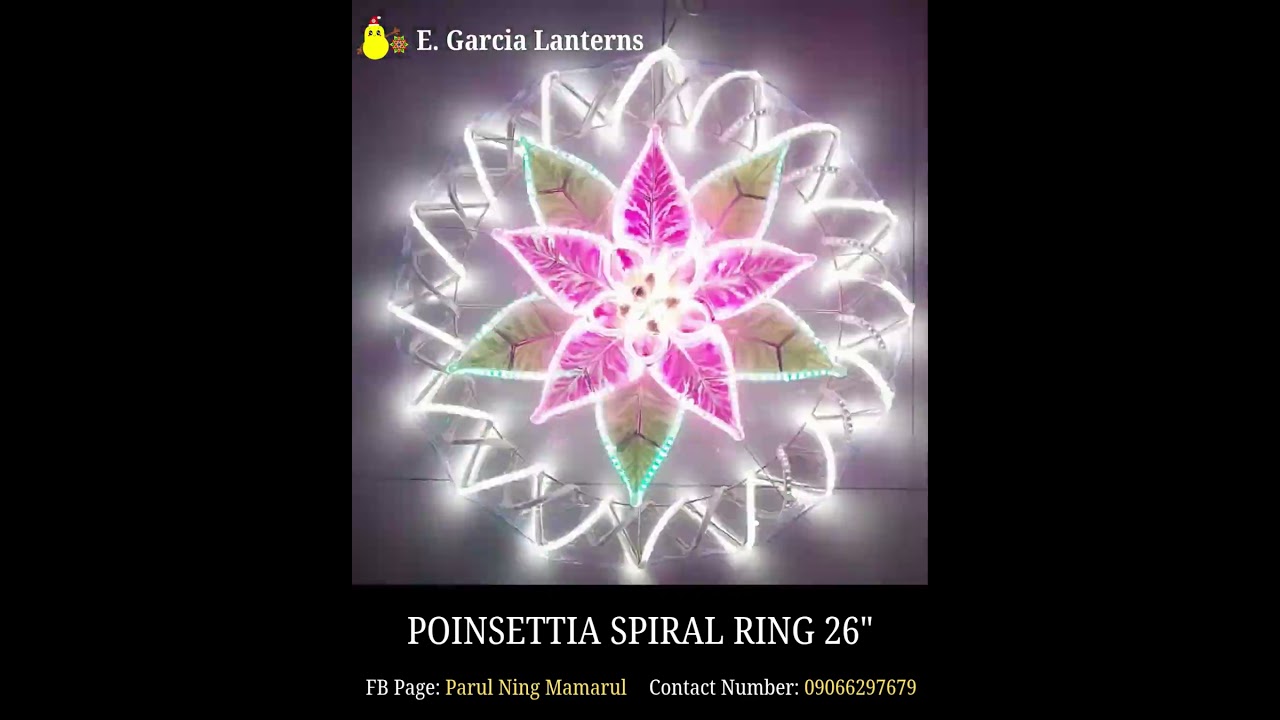 POINSETTIA SPIRAL RING 26" CAPIZ LANTERN (PG) #christmaslantern #sanfernandopampanga #capizlantern