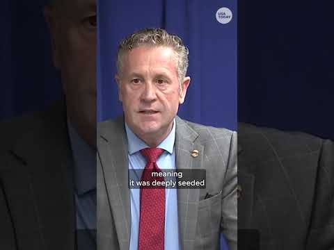 Palisades Fire was intentionally set, arrest made