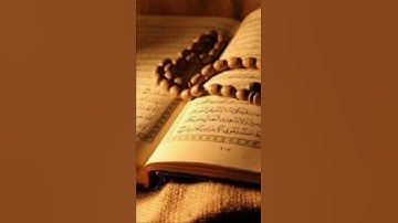 سورة التكاثر ، للقارئ مشاري العفاسي