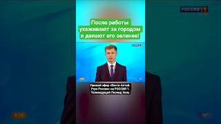 Они делают город зеленее! И все это бесплатно