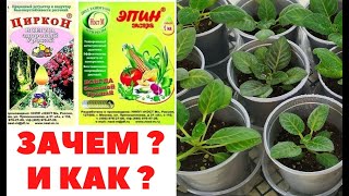 ЭПИН и ЦИРКОН ? ПОЛЬЗА на миллион ‼️ КАК ПРАВИЛЬНО использовать ⁉️