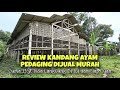 Review Kandang Ayam Sayur (Pedaging) Dijual, Usaha Menjanjikan Masa Kini 