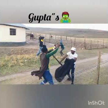 amakwekwe asejekezi❤️🔥iseyindlalo kwedin