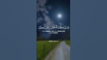 ﴿الله الذي جعل لكم...﴾ تلاوة خاشعة للقارئ الشيخ سعد الغامدي 🍂