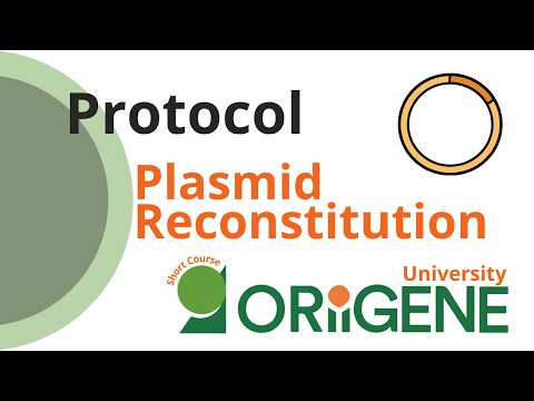 Plasmid Reconstitution Protocol