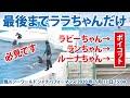 最後までララちゃんだけ！残り３頭はボイコット！【2020年7月17日15:00　鴨川シーワールド　シャチパフォーマンス】Killer whale performance, Kamogawa