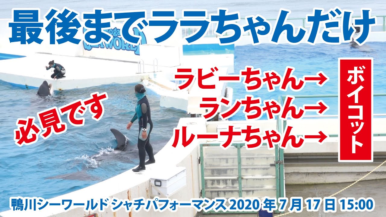 最後までララちゃんだけ！残り３頭はボイコット！【2020年7月17日