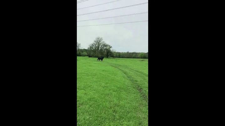 Speech on the Farm 5