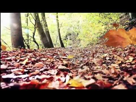 Naghma Official New Afghan Dari Song Kashe Budam 2015 HD