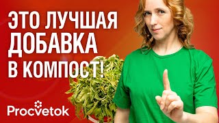 видео: БОЛЬНУЮ БОТВУ, ОПАД И ДАЖЕ СОРНЯКИ С СЕМЕНАМИ МОЖНО КЛАСТЬ В КОМПОСТ, если знать этот важный нюанс картинка: БОЛЬНУЮ БОТВУ, ОПАД И ДАЖЕ СОРНЯКИ С СЕМЕНАМИ МОЖНО КЛАСТЬ В КОМПОСТ, если знать этот важный нюанс