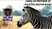 PALPITES DO PRETINHO JB