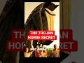 How The Trojan Horse Actually Fooled Troy 🐴 #mythology #history