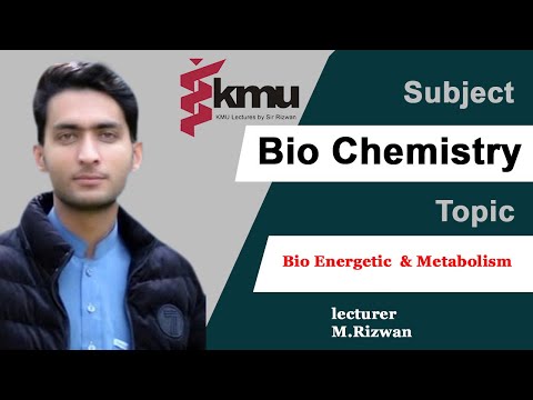 Bioenergetics and Metabolism Urdu/Hindi/BSN Biochemistry 1st chapter#9//solved# MCQS