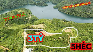 Bán 5HA Đất Vườn Cà Phê Đang Thu Đậm,VIEW THÁC NƯỚC TUYỆT ĐẸP,Khí Hậu Mát Mẻ,Phù Hợp NGHỈ DƯỠNG,3 TỶ