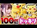 【ドッキリ】ピカチュウが100匹!? 大好きなポケモンを大量に用意してみた結果…！全部見つけるまで帰れませんどっきり【検証】