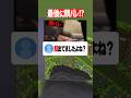 顔バレして身バレしました… #マイクラ　#shorts