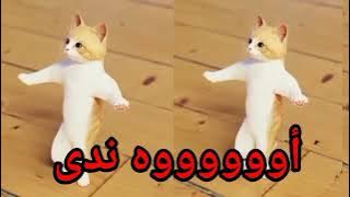 #اغنية#باسم#ندى#الحلوة#عيد_ميلاد#ندى#ندا#اول_تعليق#السعودية#الكويت#العراق#الجزائر#الرياض#دبي#تركيا