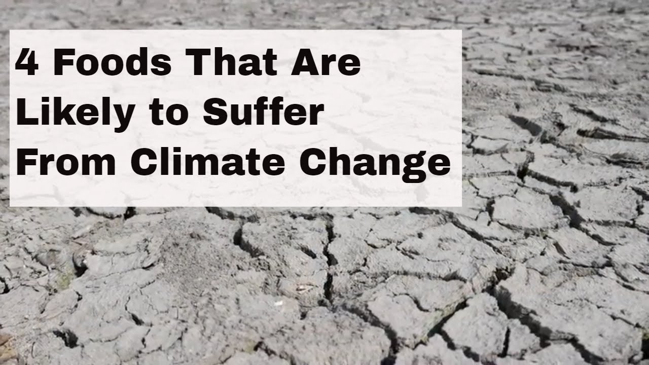 4 Foods That Are Likely to Suffer From Climate Change