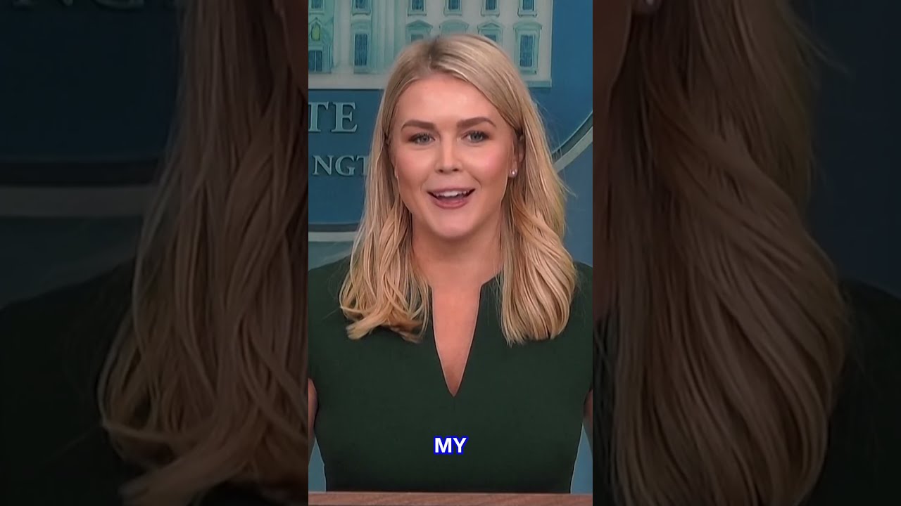 French Politician Responds To Karoline Leavitt About State Of Liberty