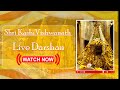 Shri kashi vishwanath live darshan  har har mahadev harharmahadev omnamahshivaya