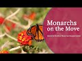 view Monarchs on the Move - Smithsonian Gardens, Habitat Exhibition digital asset number 1