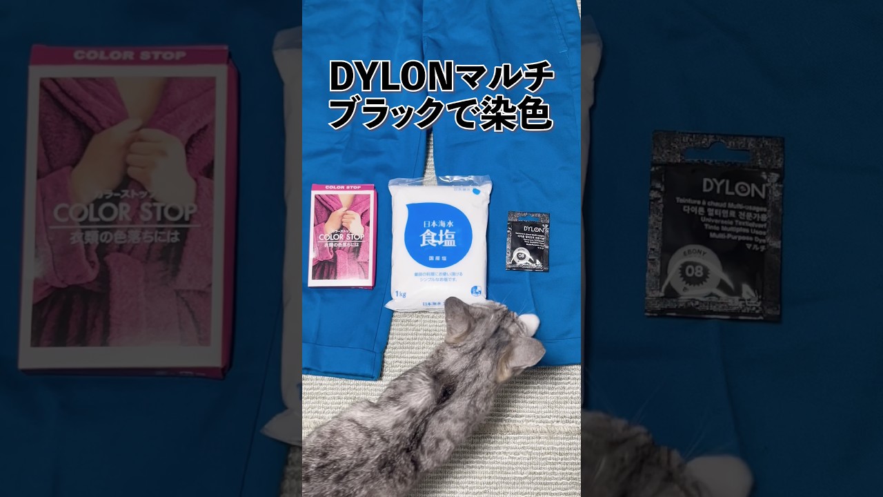 Dylonマルチでディッキーズのパンツを染色 #Dylon #dickies #ダイロン #ディッキーズ