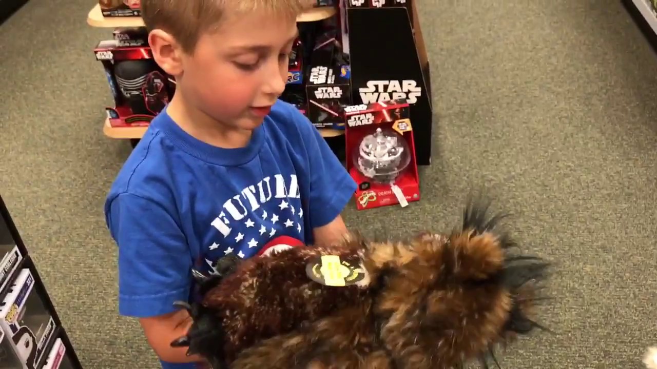 New Folkmanis Puppets At Barnes & Noble YouTube