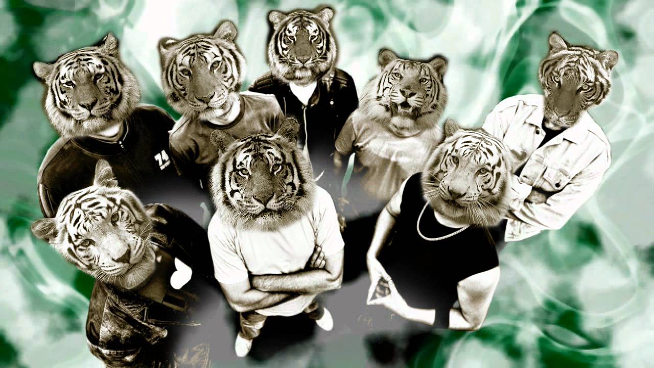 Watch TIGRIS - 2012 (Hungarian punk - rock - reggae / English subtitle) on YouTube Watch TIGRIS - 2012 (Hungarian punk - rock - reggae / English subtitle) on YouTube