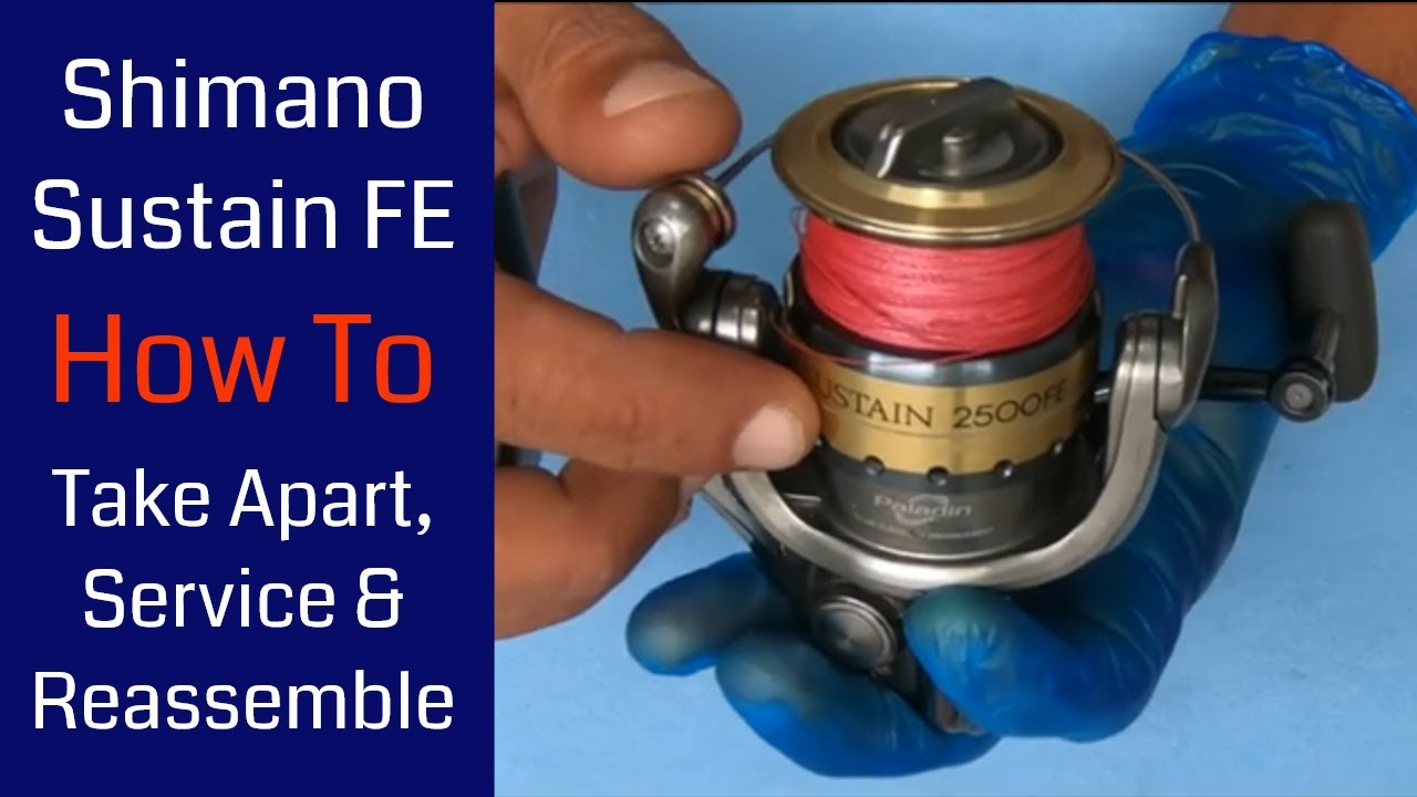 Shimano Sustain 2500FE Fishing Reel - How to take apart, service and reassemble