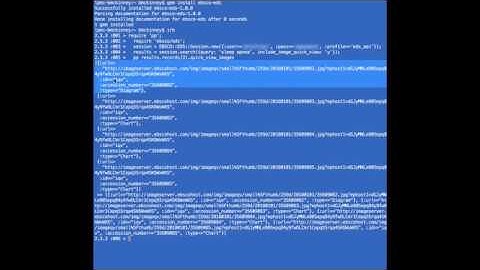 EBSC0 Discovery Service - retrieve quick view images using the Ruby gem