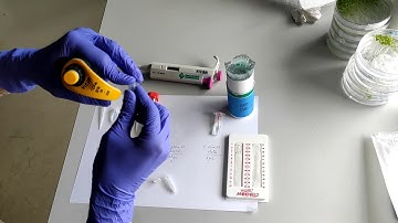 How to detect ROS using EPR-spectroscopy