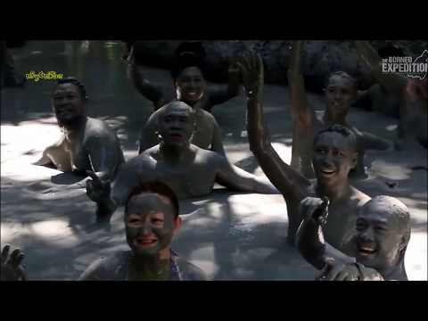 Heart Of Borneo