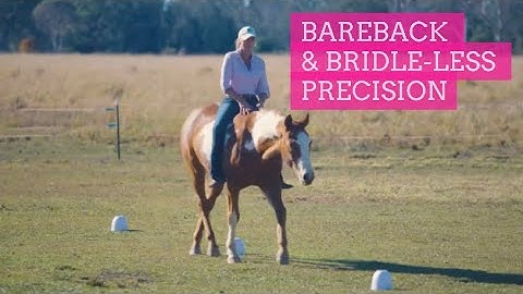Bridleless Riding Techniques: Horse Cone Steering Tutorial | LaraCoventryCox.com
