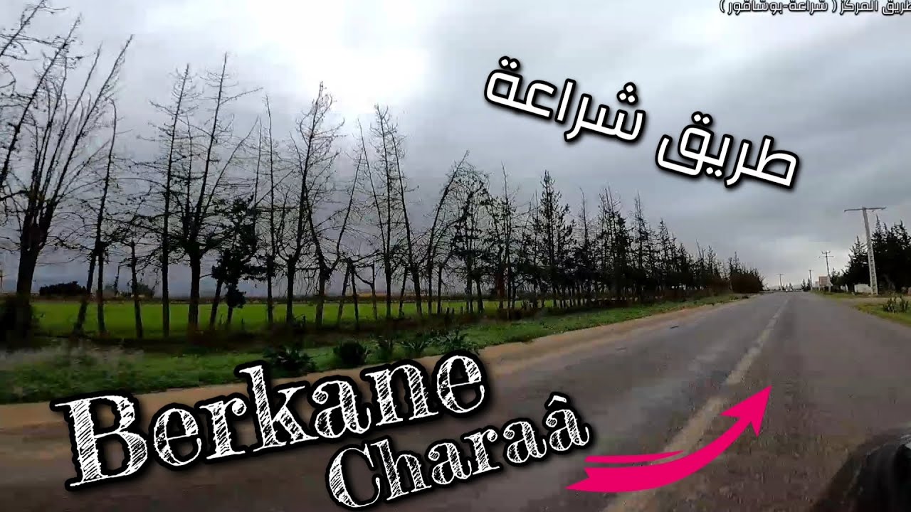 Berkane / Zone cheraâ-Bouchakor بركان طريق شراعة-بوشاقور، شاهد جمال الطبيعة بعد تساقط الأمطار 