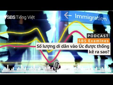 SBS Examines: Số lượng di dân vào Úc được thống kê ra sao? | SBS Vietnamese