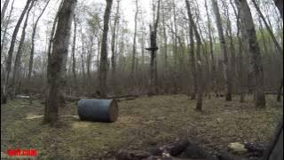 Trigger Effect - Spring Black Bear