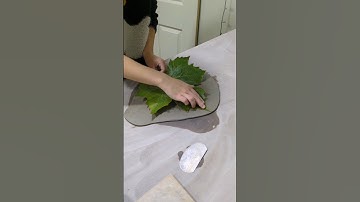 how to make a clay leaf bowl - full guide!! 🍂 #pottery #handbuiltpottery #diypottery #satisfying