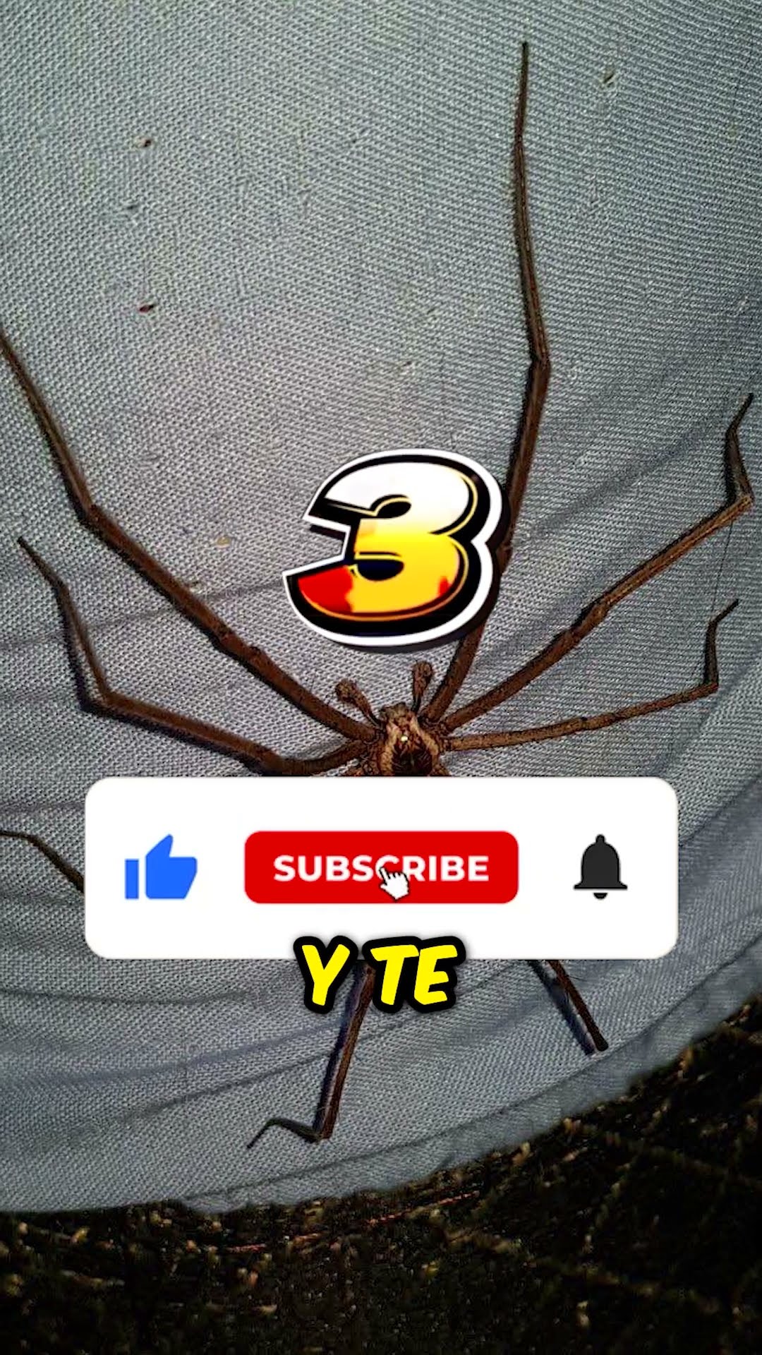 ¡Él abrió su chaqueta y sorprendió a todos! (@pro.buket_kz)