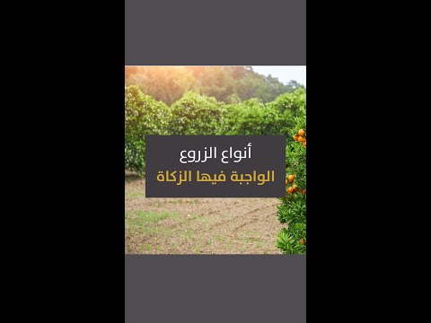 ما هي أنواع الزروع الواجبة فيها الزكاة 