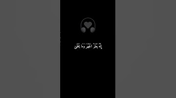 سَنُقْرِئُكَ فَلَا تَنسَىٰ|القارىء عبدالصاحب #قران_كريم #تلاوة_خاشعة #راحة_نفسية