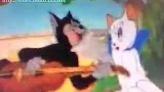 Tom and jerry somali funy song -