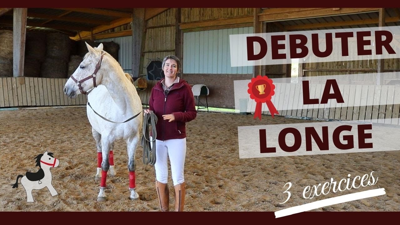 Débuter la longe avec son cheval (sans rond de longe)
