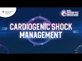 Cardiogenic shock management