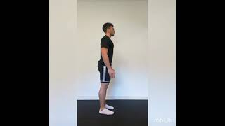 Skip Alto (con varianti e riferimenti) Skip Alto (con varianti e riferimenti)