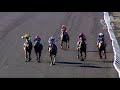 View race 5 video for 2021-05-29