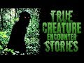 (3) Creepy Stories Submitted by Subscribers | Creature Encounters #3