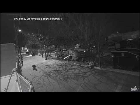 Craigslist Great Falls Mt