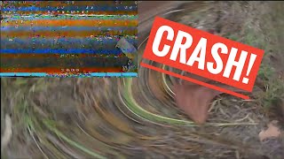 Inav Auto Launch Fail & Crash